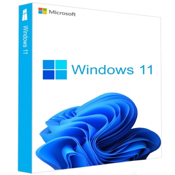 Windows 11 Lisans